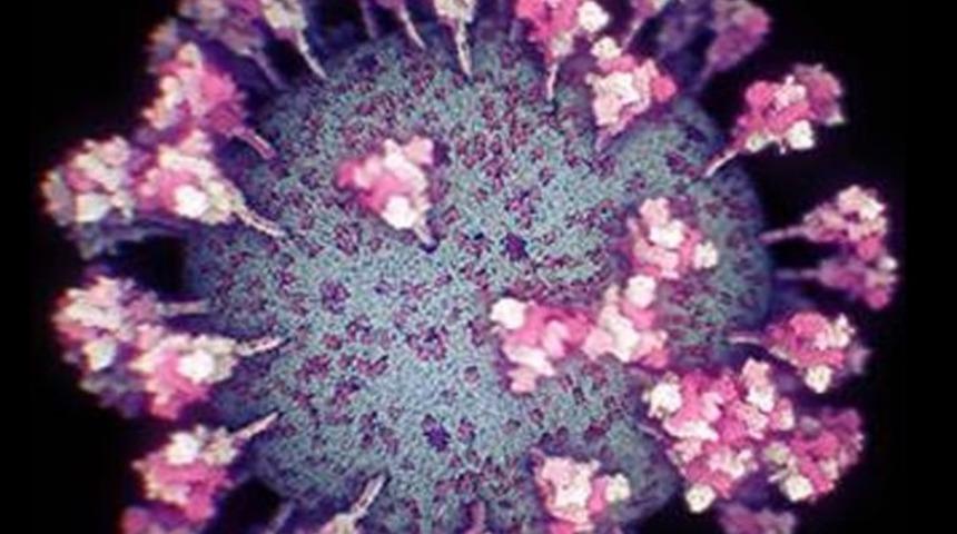 Koronavirüsün en gerçekçi görüntüsü elde edildi