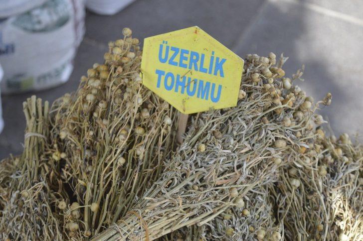 Hava soğudu, vatandaş aktarlara koştu G5