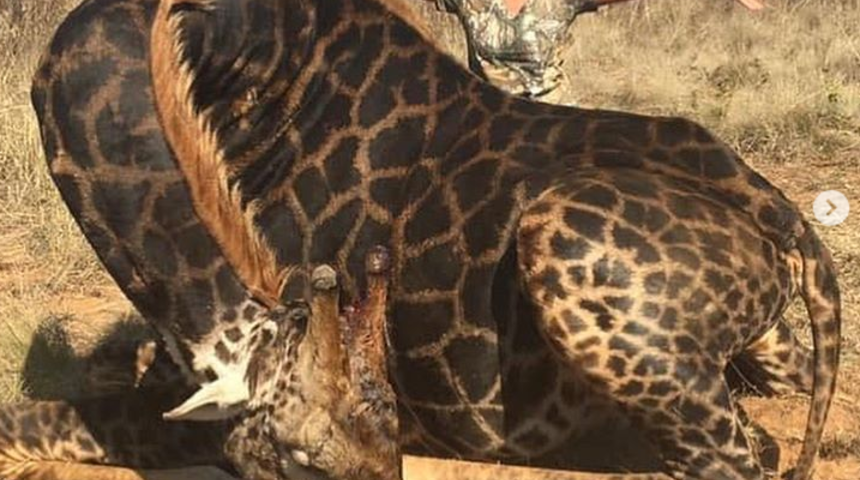 Yıllar sonra yine kan dondurdu: &Ouml;ld&uuml;rmek benim i&ccedil;in bir &ouml;d&uuml;l!