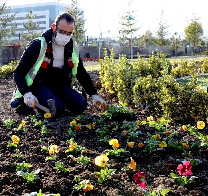 Afyonkarahisar’da 300 bin çiçek dikimi yapılacak G1