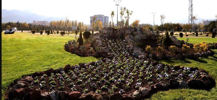 Afyonkarahisar’da 300 bin çiçek dikimi yapılacak G2