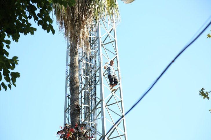 Diktiği zeytin ağaçlarının beş kez söküldüğünü iddia eden şahıs baz istasyonuna çıkıp eylem yaptı G3