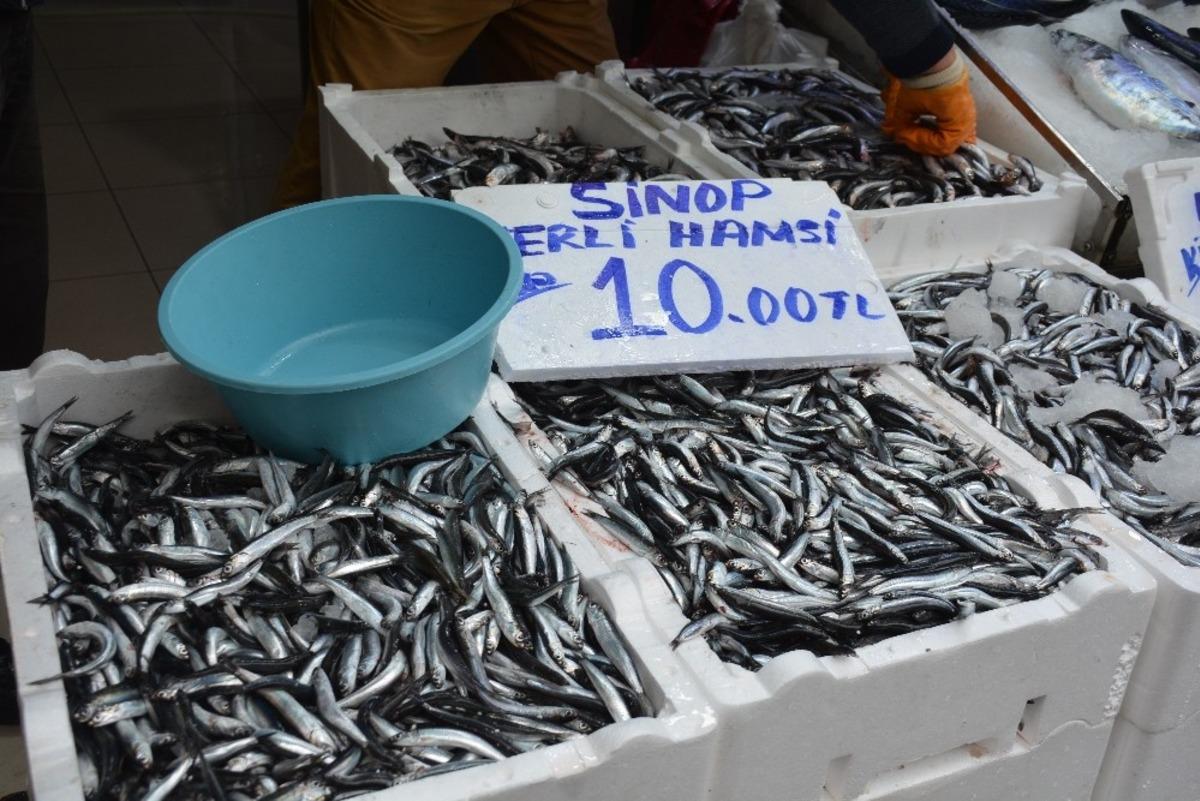 Sinop&rsquo;ta yerli hamsi 10 TL&rsquo;ye d&uuml;şt&uuml;