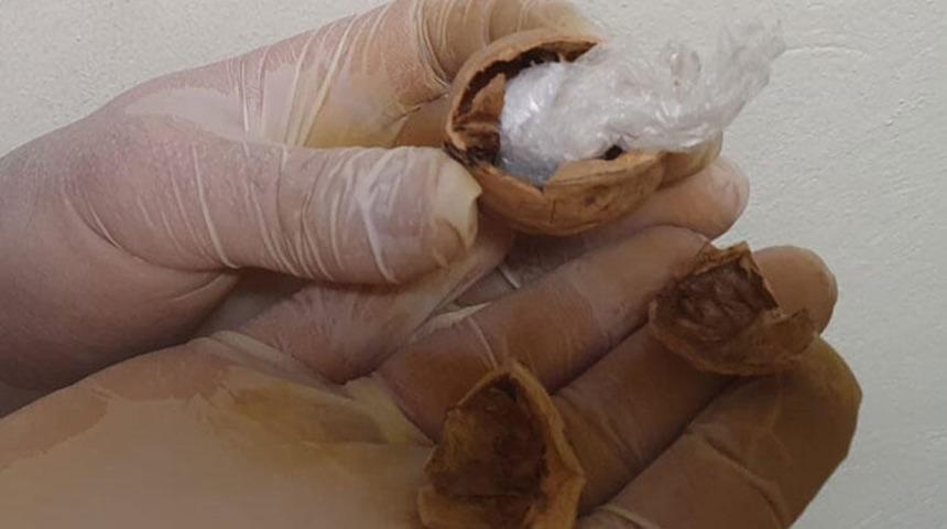 Şaşkına &ccedil;eviren g&ouml;r&uuml;nt&uuml;! Cevizin i&ccedil;ine gizlemişler