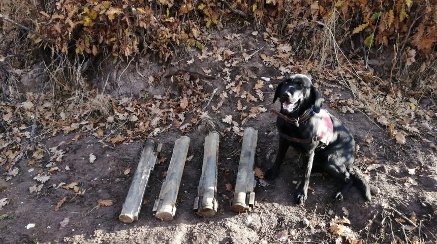 Bitlis&rsquo;te 4 adet lav silahı ele ge&ccedil;irildi