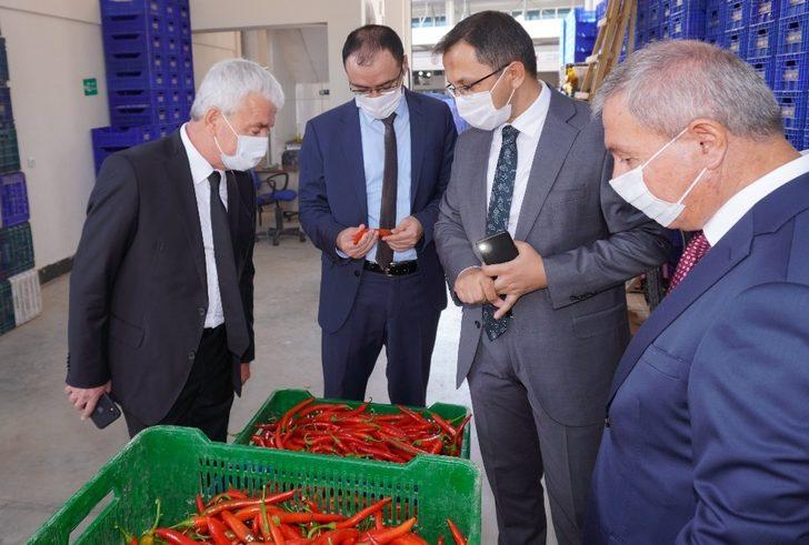 Finike toptancı halinde sezon açıldı G5