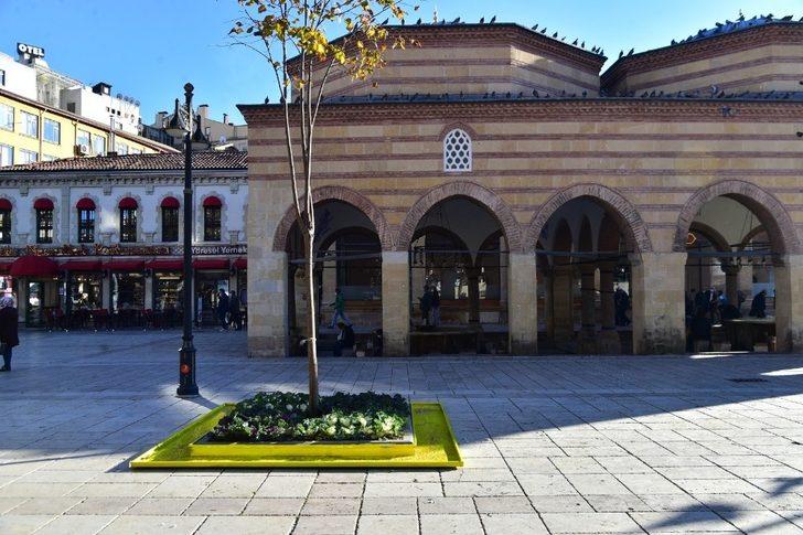Kastamonu’da güvercinler için ağaç diplerine yemlik yapıldı G1