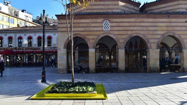 Kastamonu’da güvercinler için ağaç diplerine yemlik yapıldı