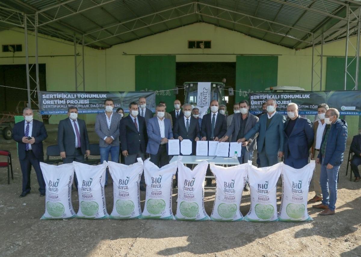Gaziantep&rsquo;te sertifikalı tohum &uuml;retimine başlandı