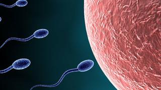 Üreme Sağlığındaki Yanlışlar