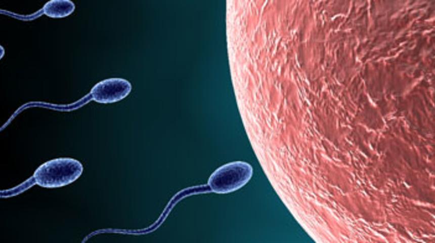 &Uuml;reme Sağlığındaki Yanlışlar