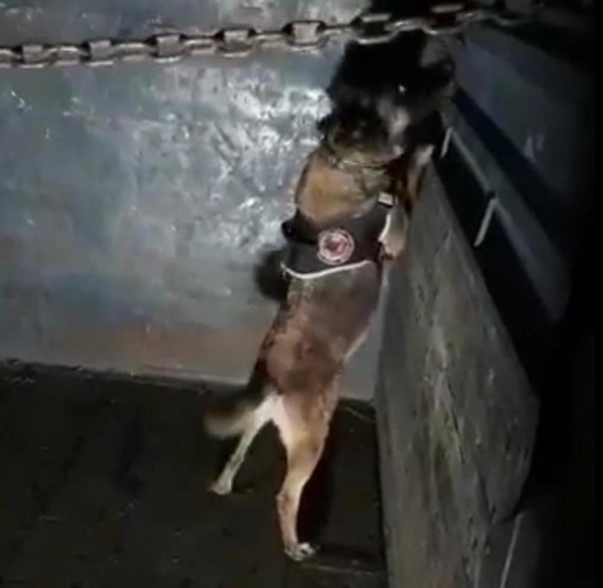 Elazığ&rsquo;da 41 kilo 750 gram eroin ele ge&ccedil;irildi