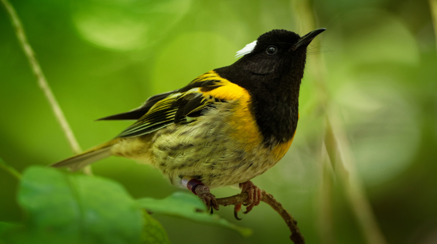 Seks mağazası en büyük destekçisi! Çok sayıda sperm üretiyor... 