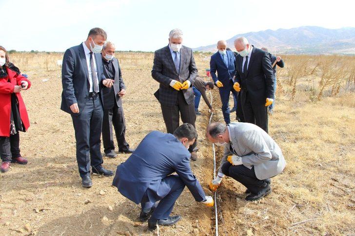 FÜ Fidan Üretim Merkezi’nde cevizler toprakla buluştu G2