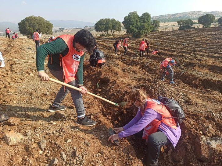 Kahramanmaraş’ta 156 bin fidan toprakla buluştu G1