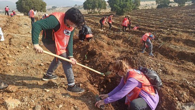 Kahramanmaraş’ta 156 bin fidan toprakla buluştu