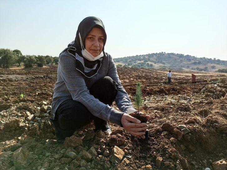 Kahramanmaraş’ta 156 bin fidan toprakla buluştu G2