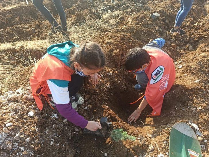 Kahramanmaraş’ta 156 bin fidan toprakla buluştu G3