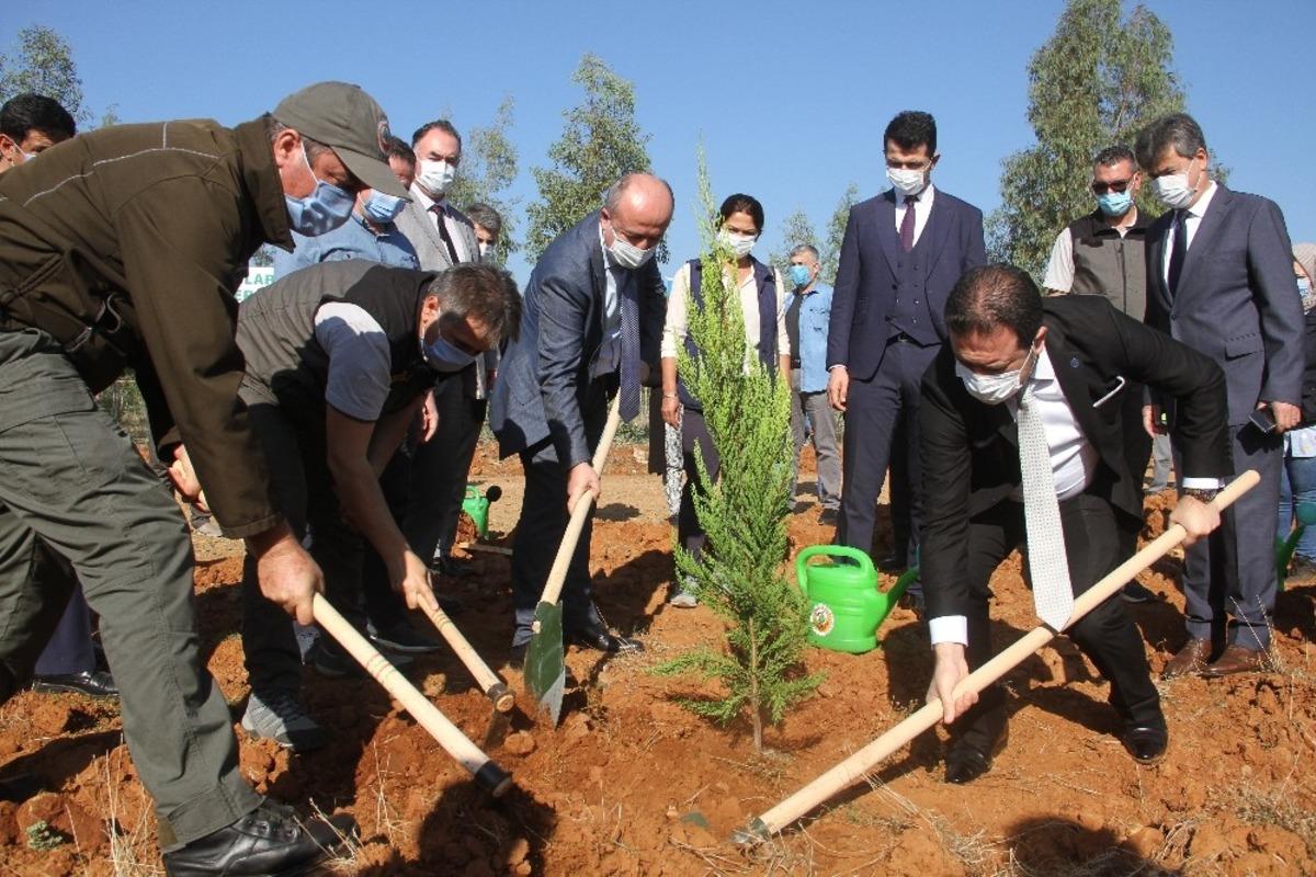 Fethiye&rsquo;de &ldquo;Geleceğe Nefes&rdquo; olacak fidanlar toprakla buluştu