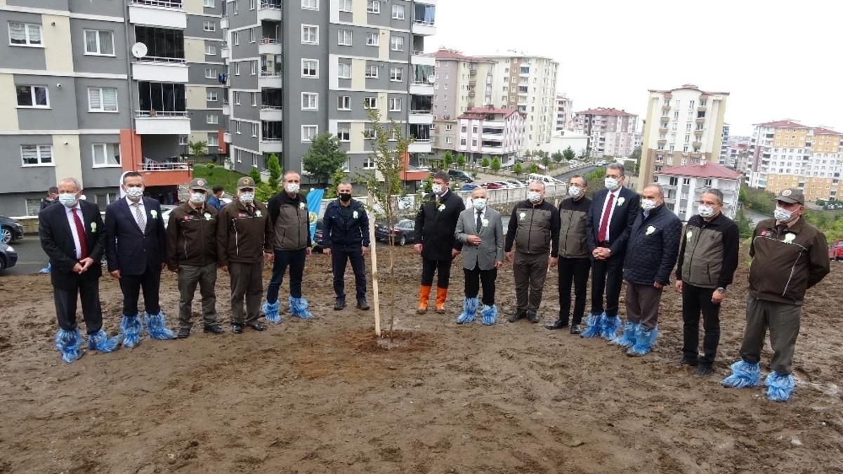 Ordu&rsquo;da 540 bin 300 adet fidan toprakla buluştu