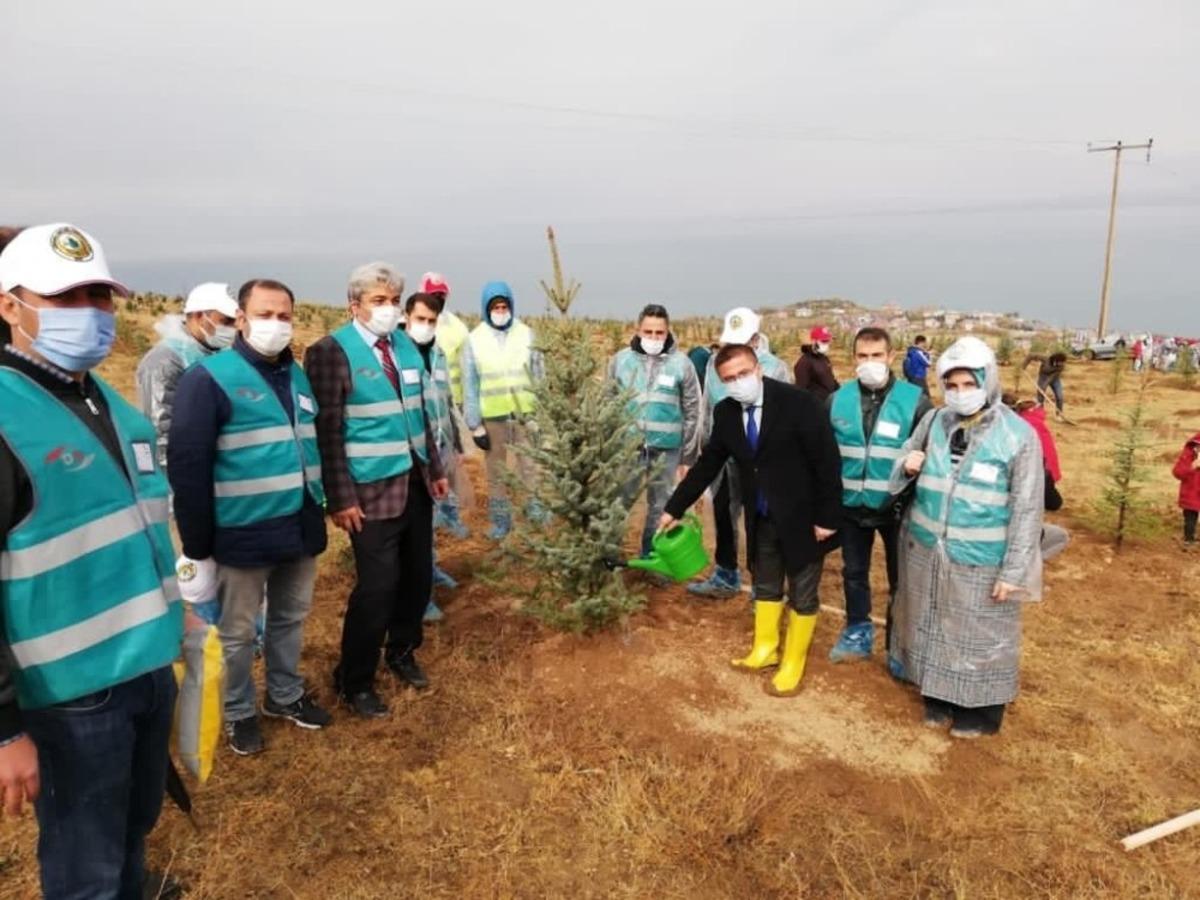 H&uuml;k&uuml;ml&uuml; ve y&uuml;k&uuml;ml&uuml;ler ağa&ccedil; dikerek topluma kazandırılıyor