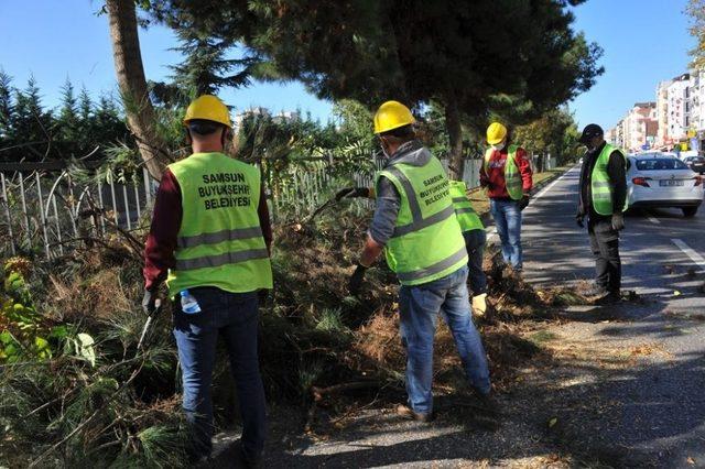 Büyükşehir’den ‘kış’ bakımı