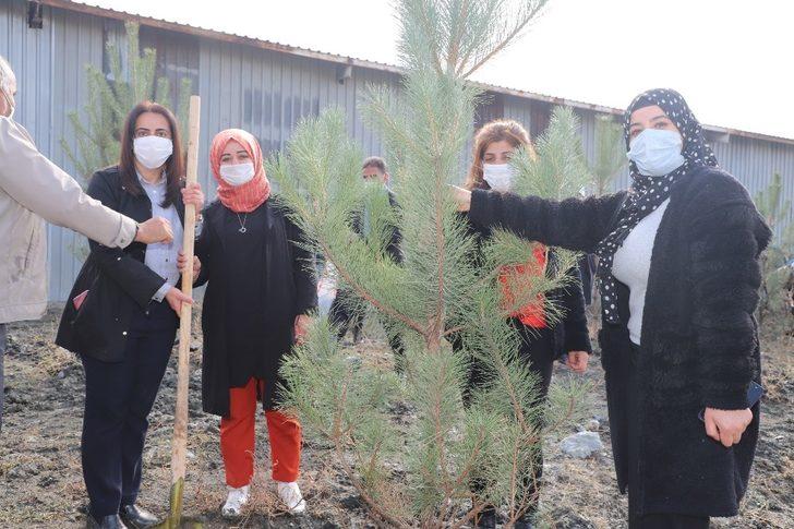 Hakkari’de 10 bin fidan toprakla buluşturuldu G3