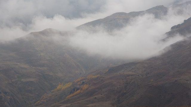 Muş’ta sonbahar güzellikleri