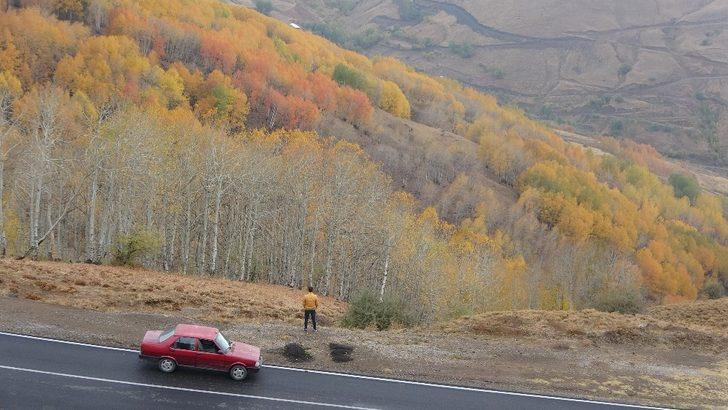 Muş’ta sonbahar güzellikleri G3