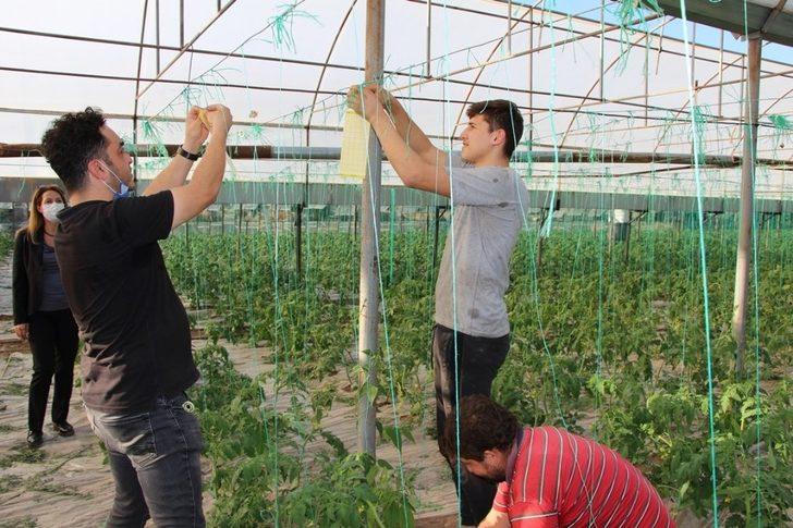 Örtüaltı üretimde entegre mücadele projesi G4