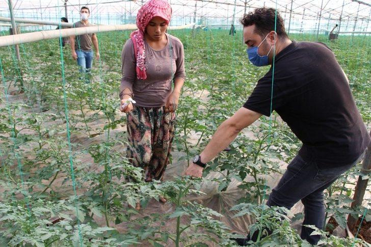 Örtüaltı üretimde entegre mücadele projesi G5