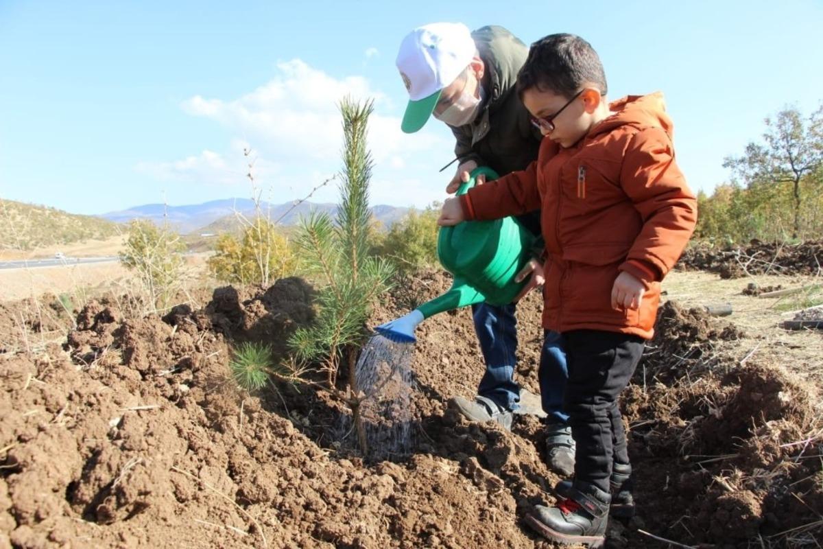 Bing&ouml;l&rsquo;de 4 hektar alana 6 bin 500 fidan dikildi