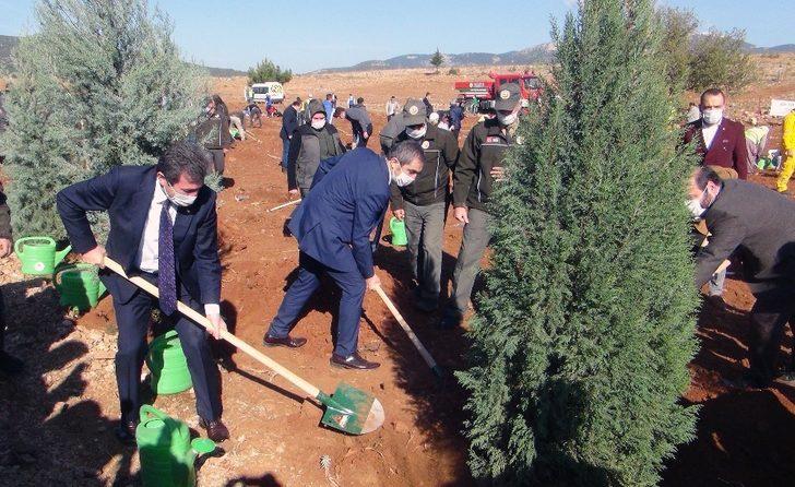 Fidanlar toprakla buluştu G2