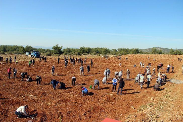 Fidanlar toprakla buluştu G3