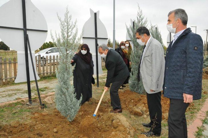 Akşehir’de 54 şehit için 54 fidan toprakla buluşturuldu G1