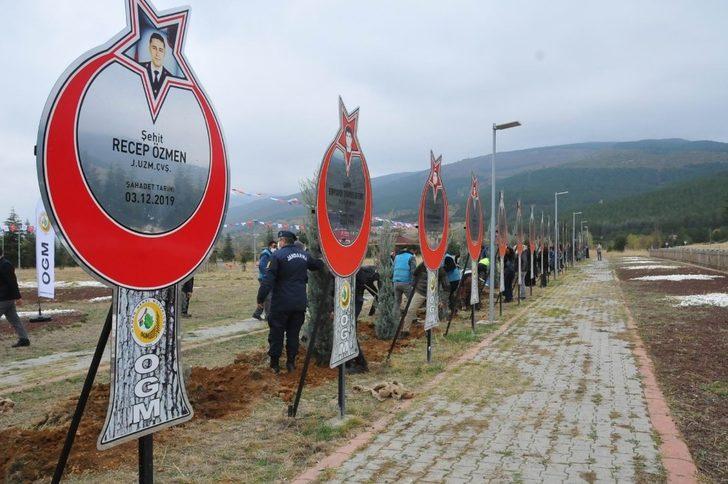 Akşehir’de 54 şehit için 54 fidan toprakla buluşturuldu G2