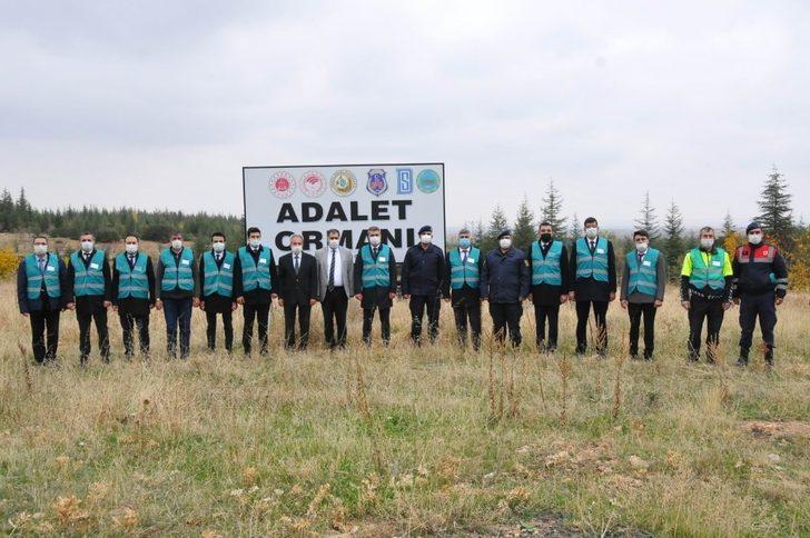 Akşehir’de 54 şehit için 54 fidan toprakla buluşturuldu G3