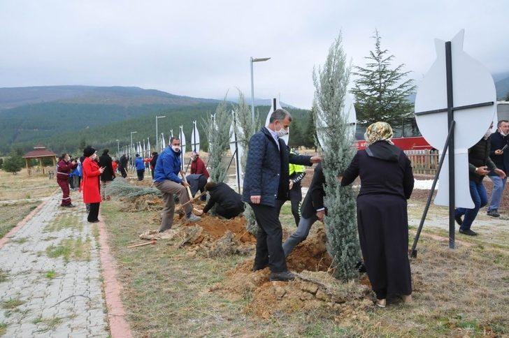 Akşehir’de 54 şehit için 54 fidan toprakla buluşturuldu G4