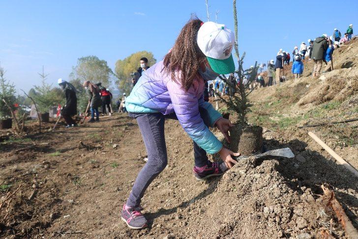 Bolu’da 9 bin fidan toprakla buluşturuldu G1