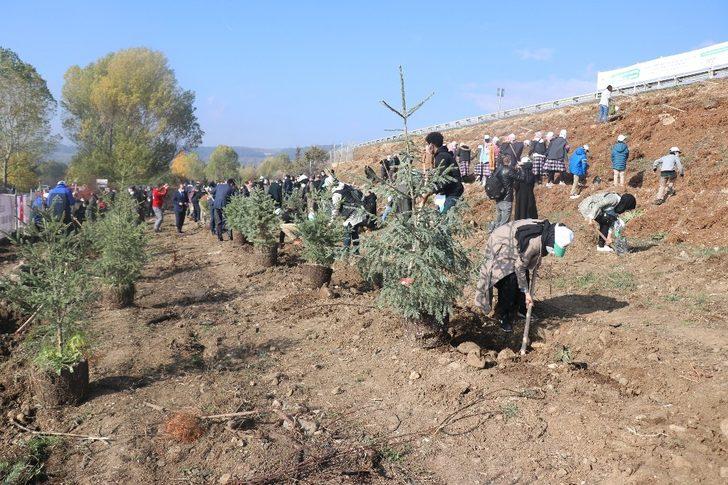 Bolu’da 9 bin fidan toprakla buluşturuldu G2