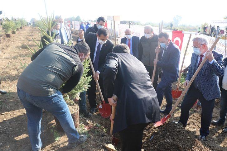 Bolu’da 9 bin fidan toprakla buluşturuldu G3