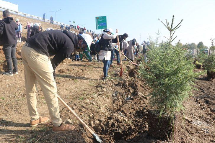 Bolu’da 9 bin fidan toprakla buluşturuldu G4