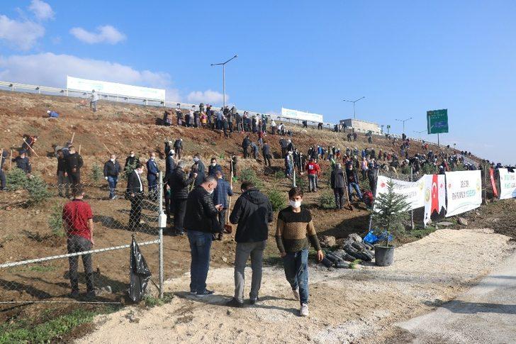 Bolu’da 9 bin fidan toprakla buluşturuldu G5