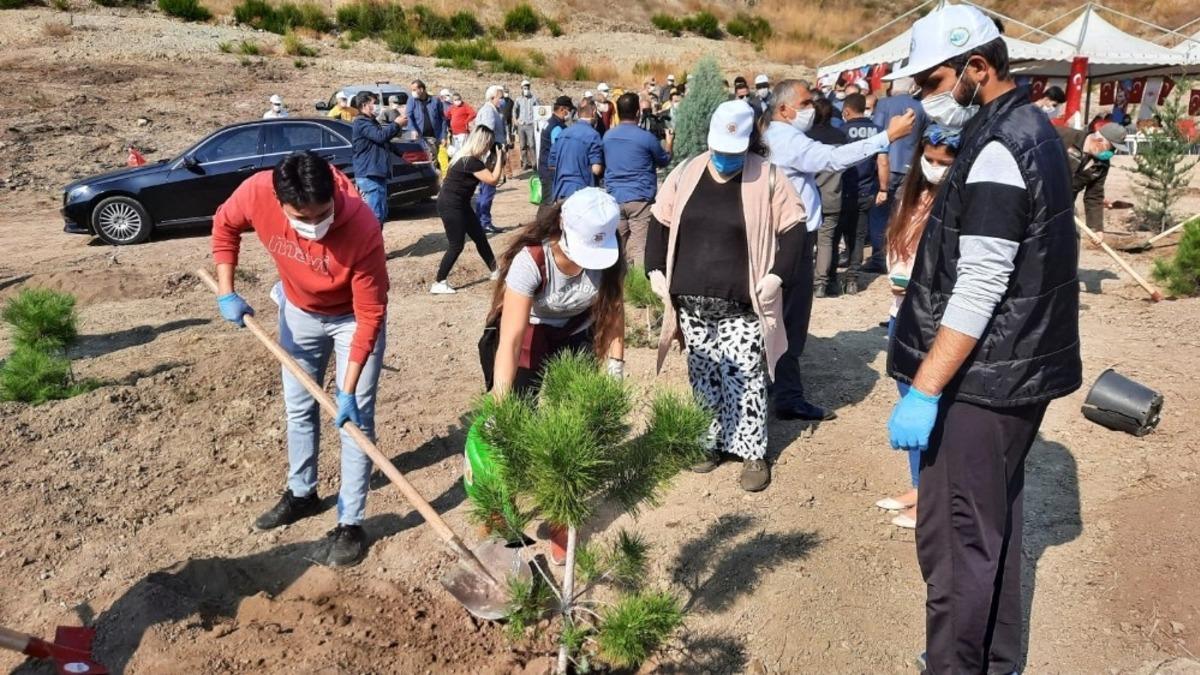 Osmaniye&rsquo;de yangın sonrası ilk fidanlar toprakla buluştu