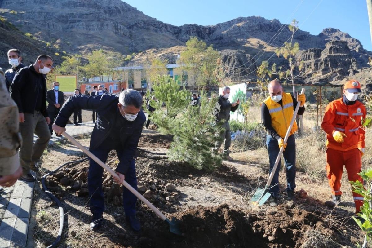 Tunceli&rsquo;de binlerce fidan toprakla buluştu