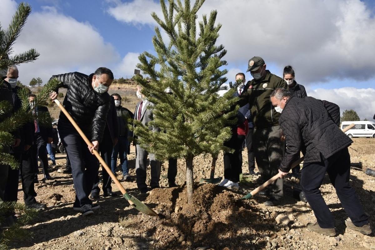 G&uuml;m&uuml;şhane&rsquo;de 22 bin fidan toprakla buluştu