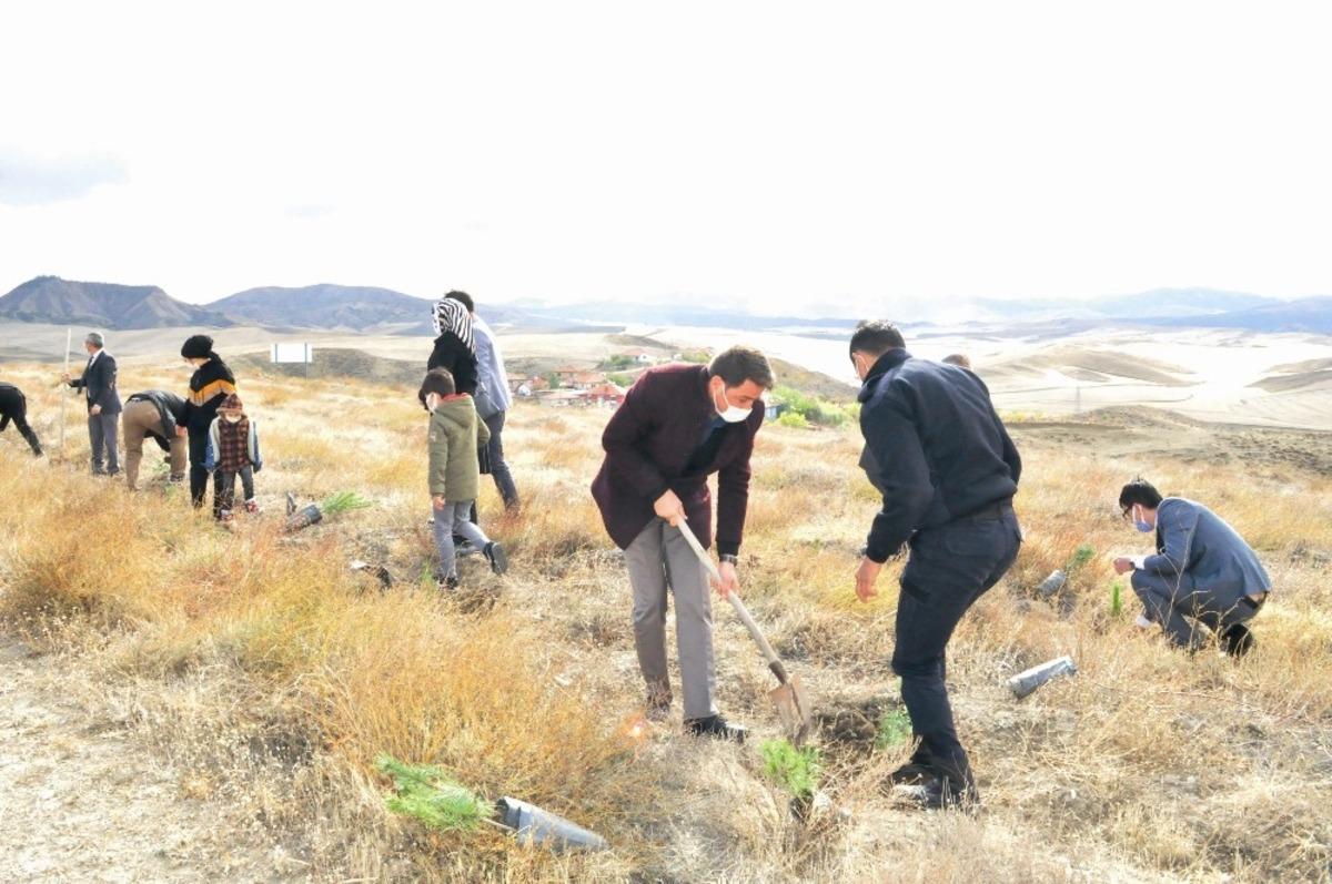 Sungurlu Adalet Ormanı&rsquo;na 200 fidan dikildi