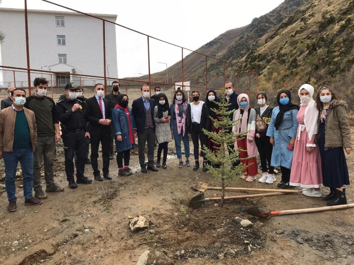 Şemdinli&rsquo;de fidan dikimi