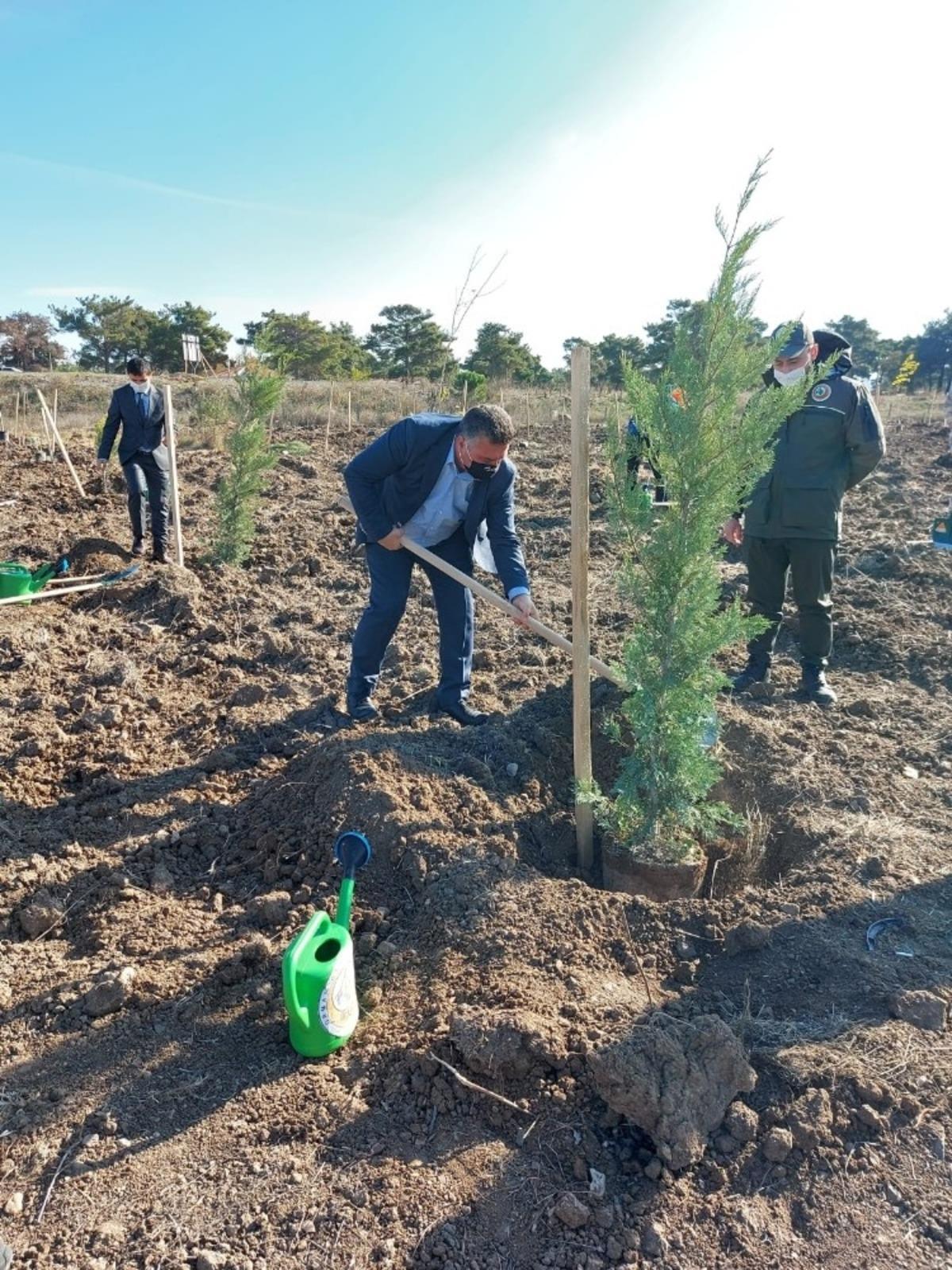 Ayvacık&rsquo;ta y&uuml;zlerce fidan toprakla buluştu