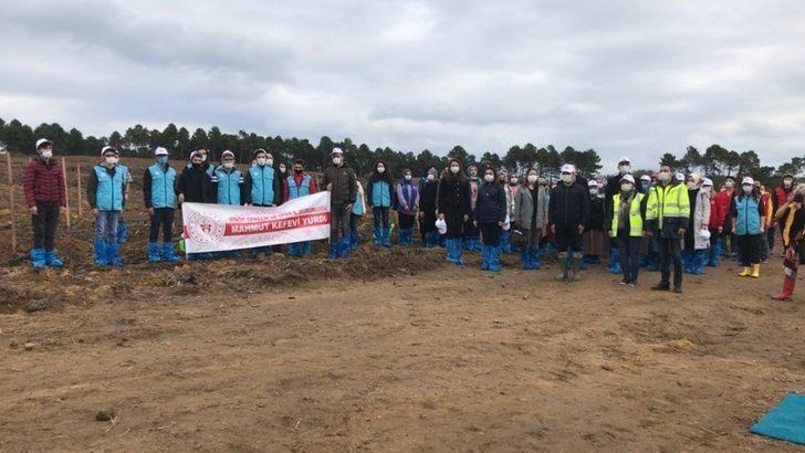 Sinop’tan “Geleceğe Nefes” kampanyasına destek G3